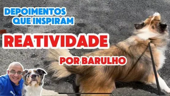 Comportamento reativo o que fazer?