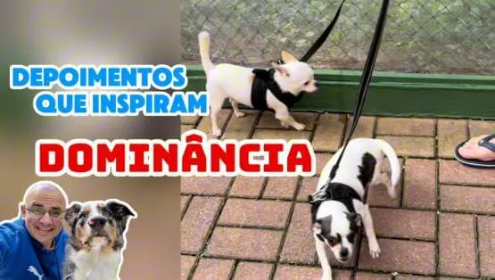 Como Corrigir a Dominância em Menos de 1 Minuto!